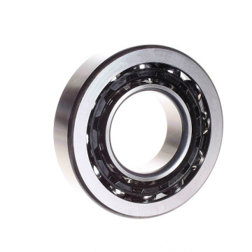 Original Jpan Sweden Germany brand 80TAC20XPN7+LC6  High Precision Double row Angular Contact Ball Bearing 80*125*54mm